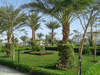 Royal Rojana Resort 